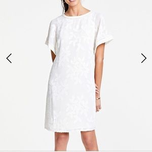 NWT Ann Taylor dress